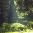 Strach